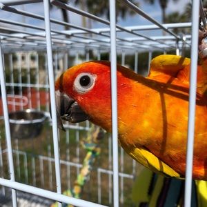 Meet your Posher, April